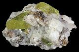 Apatite Crystals with Quartz & Magnetite - Durango, Mexico #64013-2